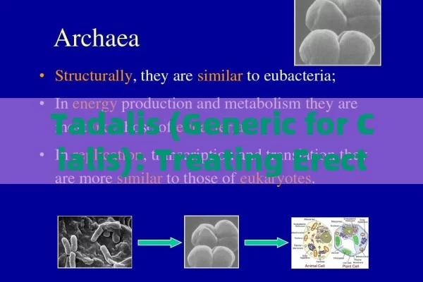 Tadalis (Generic for Cialis): Treating Erectile Dysfunction in Different Dosages