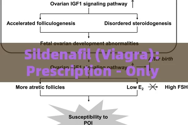 Sildenafil (Viagra): Prescription - Only Erectile Dysfunction Treatment